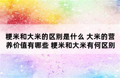 粳米和大米的区别是什么 大米的营养价值有哪些 粳米和大米有何区别